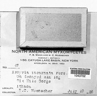 Image Associated With the Occurence